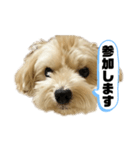 ルーシーの日常使いスタンプ（個別スタンプ：9）