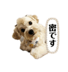 ルーシーの日常使いスタンプ（個別スタンプ：28）