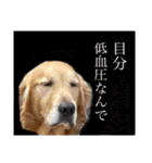 いぬの日常〜遅刻魔専用・改〜（個別スタンプ：7）