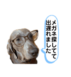 いぬの日常〜遅刻魔専用・改〜（個別スタンプ：9）