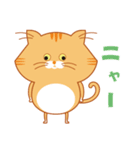ノルウェージャンのゴルちゃんスタンプ（個別スタンプ：1）