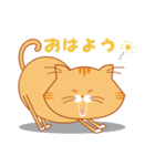 ノルウェージャンのゴルちゃんスタンプ（個別スタンプ：34）