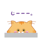 ノルウェージャンのゴルちゃんスタンプ（個別スタンプ：36）