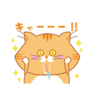 ノルウェージャンのゴルちゃんスタンプ（個別スタンプ：39）
