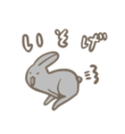 Rabbitii（個別スタンプ：2）