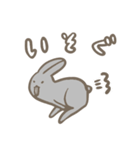 Rabbitii（個別スタンプ：3）