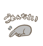Rabbitii（個別スタンプ：5）