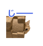 うちのマンチカン 実写 ねこ（個別スタンプ：22）