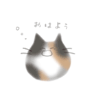 けだまねこ vol.01（個別スタンプ：1）