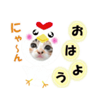 ゆかいなにゃんこ1★あいさつ＆日常会話★（個別スタンプ：1）