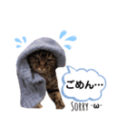 キキ＆マロンの1日（個別スタンプ：4）