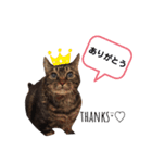 キキ＆マロンの1日（個別スタンプ：5）