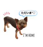 キキ＆マロンの1日（個別スタンプ：6）