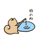 りすパパ（個別スタンプ：17）