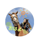 白井家とゆかいな仲間たち（個別スタンプ：1）