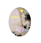 白井家とゆかいな仲間たち（個別スタンプ：3）