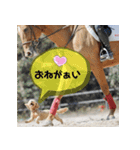 白井家とゆかいな仲間たち（個別スタンプ：11）