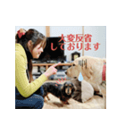 白井家とゆかいな仲間たち（個別スタンプ：13）