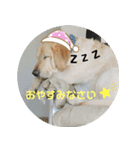 白井家とゆかいな仲間たち（個別スタンプ：14）