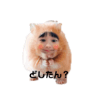 民宿しぶや①（個別スタンプ：1）