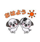 可愛いシーズーアニメ画スタンプ（個別スタンプ：1）