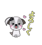 可愛いシーズーアニメ画スタンプ（個別スタンプ：3）