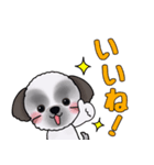 可愛いシーズーアニメ画スタンプ（個別スタンプ：5）