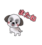 可愛いシーズーアニメ画スタンプ（個別スタンプ：10）