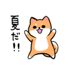 柴犬さんと黒柴さんスタンプ【夏！】（個別スタンプ：1）