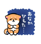 柴犬さんと黒柴さんスタンプ【夏！】（個別スタンプ：7）