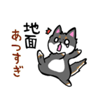 柴犬さんと黒柴さんスタンプ【夏！】（個別スタンプ：10）