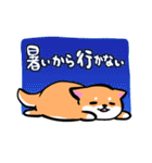 柴犬さんと黒柴さんスタンプ【夏！】（個別スタンプ：19）