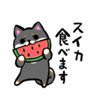 柴犬さんと黒柴さんスタンプ【夏！】（個別スタンプ：22）