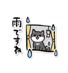 柴犬さんと黒柴さんスタンプ【夏！】（個別スタンプ：36）