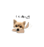 ししまるすたんぷ つー（個別スタンプ：3）