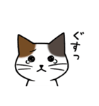 みけねこ便り2（個別スタンプ：9）