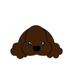 Cocker cocker spaniel（個別スタンプ：8）