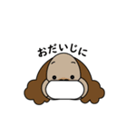 Cocker cocker spaniel（個別スタンプ：10）