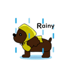 Cocker cocker spaniel（個別スタンプ：12）