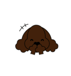 Cocker cocker spaniel（個別スタンプ：15）