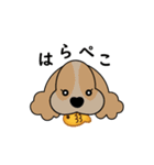 Cocker cocker spaniel（個別スタンプ：17）