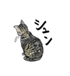 カギしっぽのセイ（個別スタンプ：4）