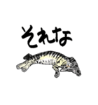 カギしっぽのセイ（個別スタンプ：5）