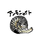 カギしっぽのセイ（個別スタンプ：6）