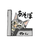 カギしっぽのセイ（個別スタンプ：8）