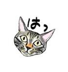 カギしっぽのセイ（個別スタンプ：11）