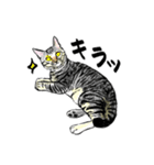 カギしっぽのセイ（個別スタンプ：12）