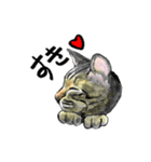 カギしっぽのセイ（個別スタンプ：14）