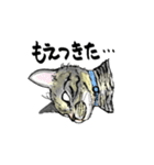カギしっぽのセイ（個別スタンプ：16）