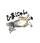 カギしっぽのセイ（個別スタンプ：20）